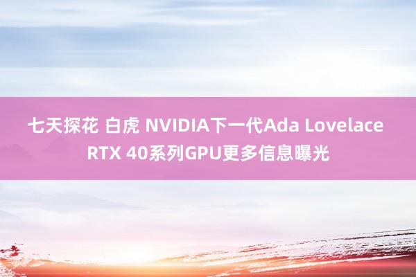 七天探花 白虎 NVIDIA下一代Ada Lovelace RTX 40系列GPU更多信息曝光